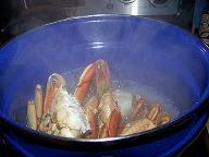 How to Catch, Clean, and Cook Blue Crabs | Delishably