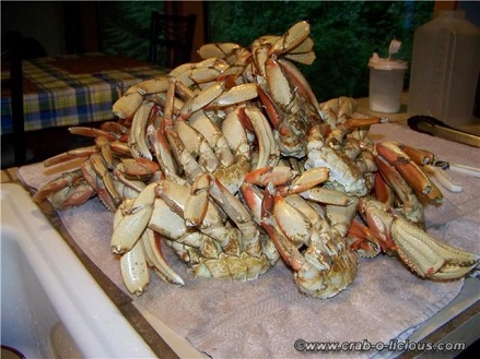 Dungeness Crab Season