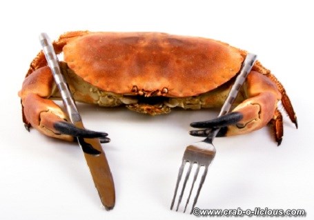 stone-crab-3