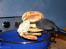 cooked-crab-legs