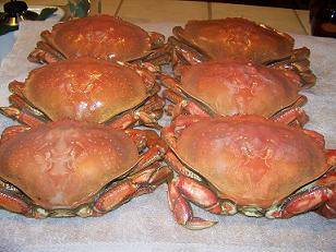 Freezing Whole Crabs